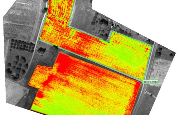 Thermal and multispectral crop analysis map generated with MicaSense Altum-PT imagery