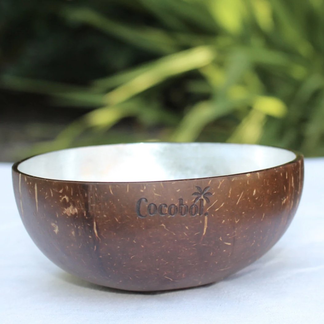 All natural coconut bowls silver lacquered