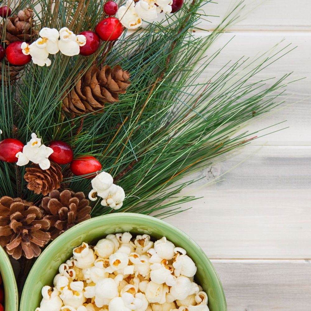 Popcorn &amp; Cranberry Garlands