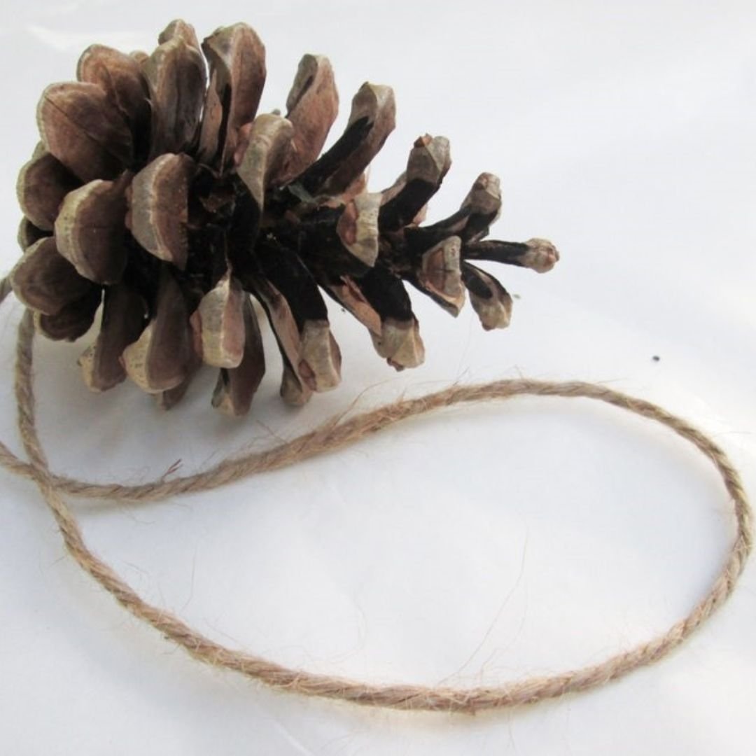 Traditional Pine Cones