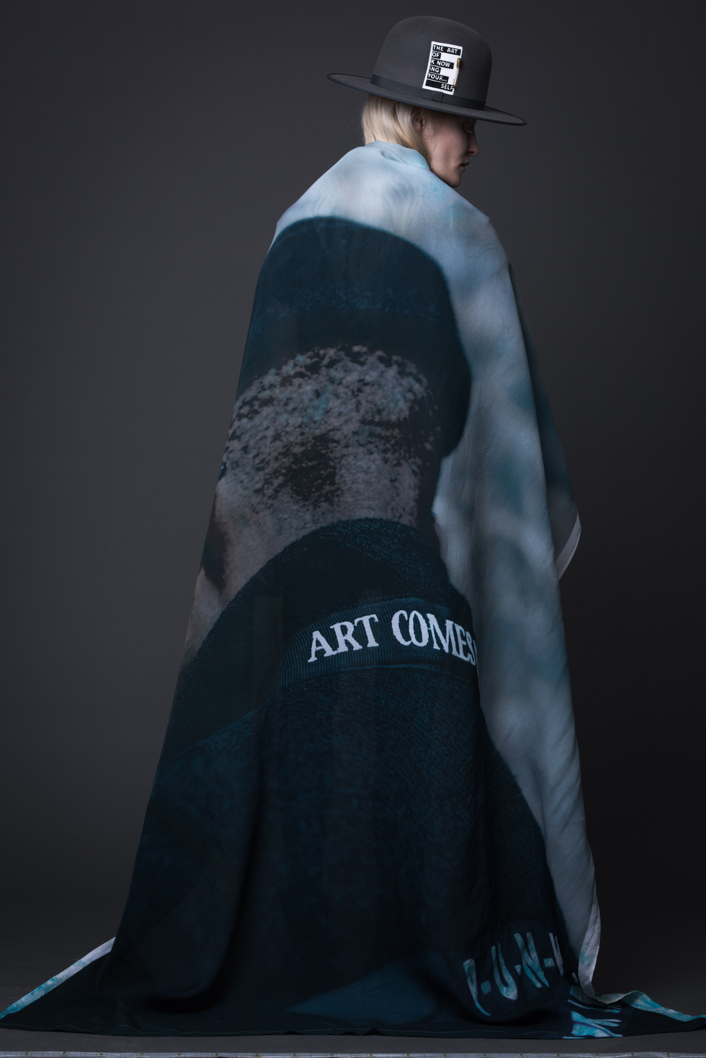 ART COMES FIRST - ACF — ART COMES FIRST