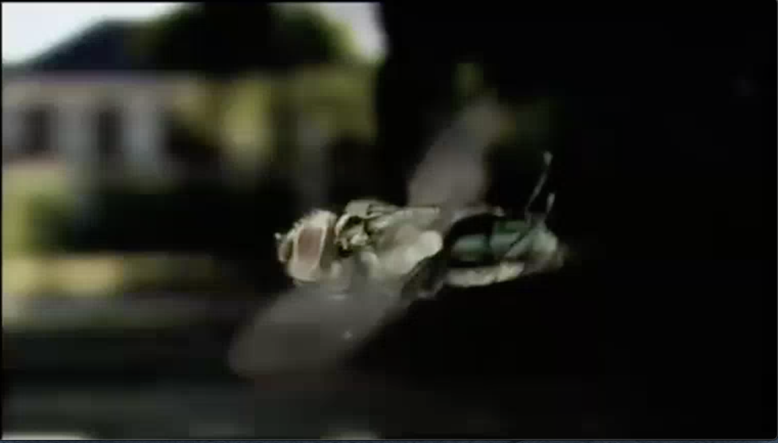 Flies Mind Thumb.png