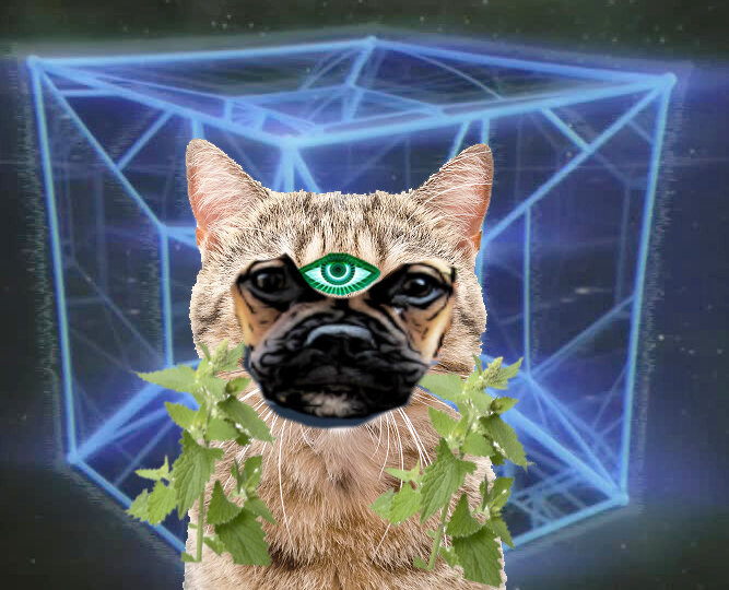 thirdeye_catnip.jpg