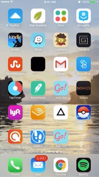 animation1.gif