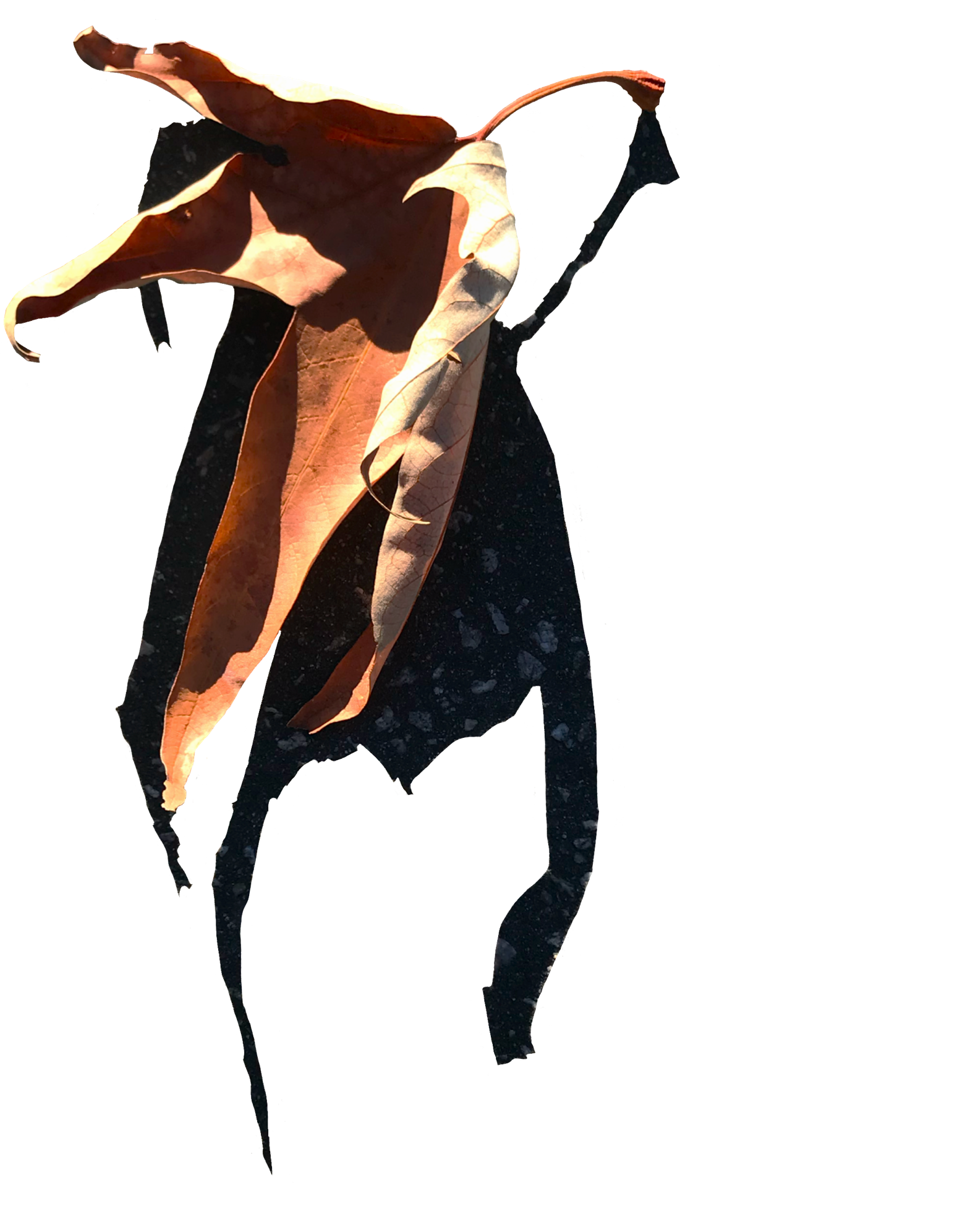 CONNECTEDkind_issue01-12.png