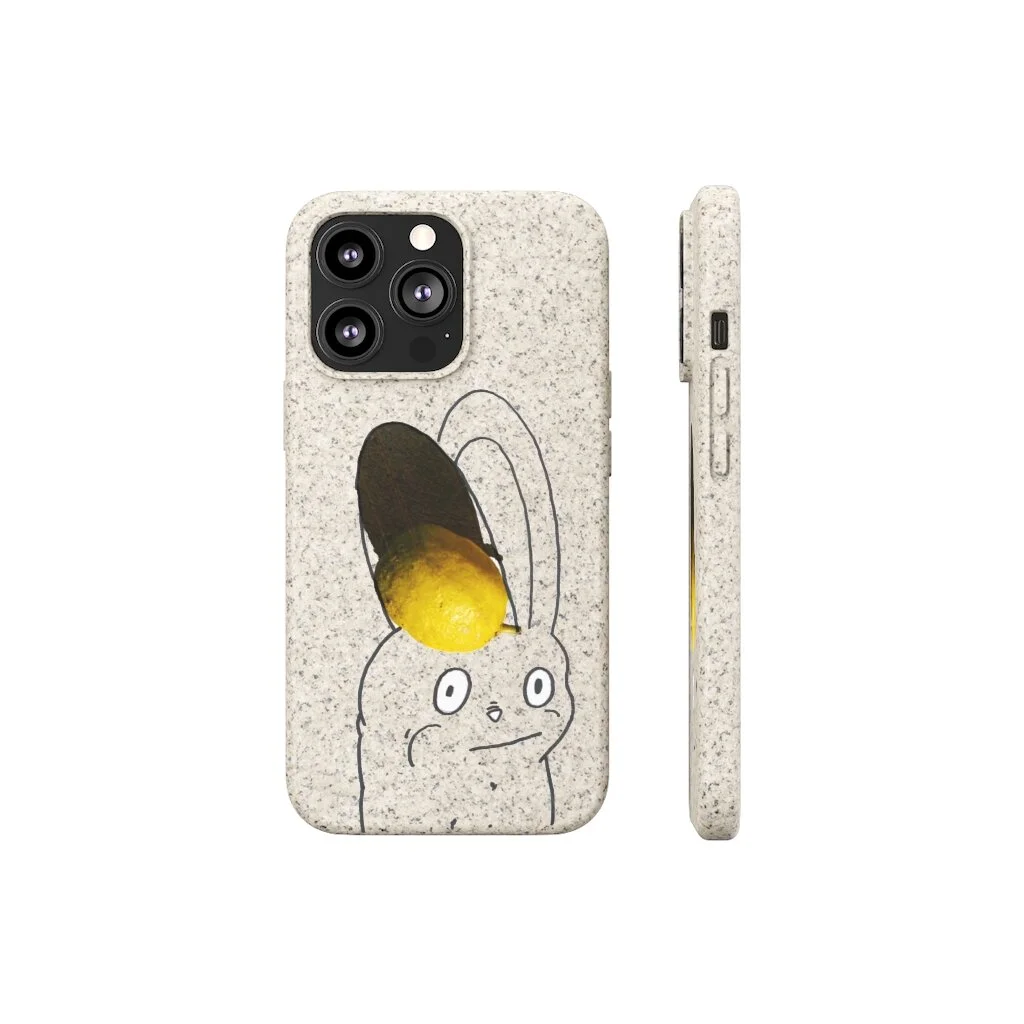 06e6526c9bda4f71befd744b2e98a87b