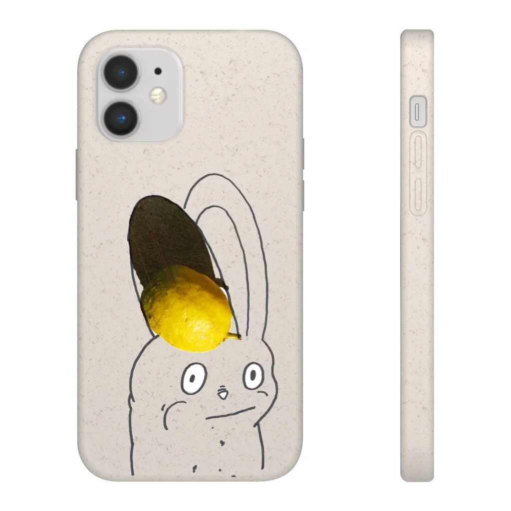 17e2c3e644b5da87c03ef98c75d1aba2