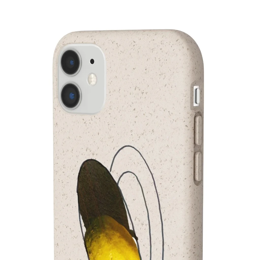 3f2ae53fe5a1f06dd3c926fdee69e1b8