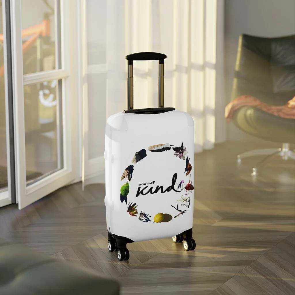 8380d94561db2199b3962d2e5ccb38e1