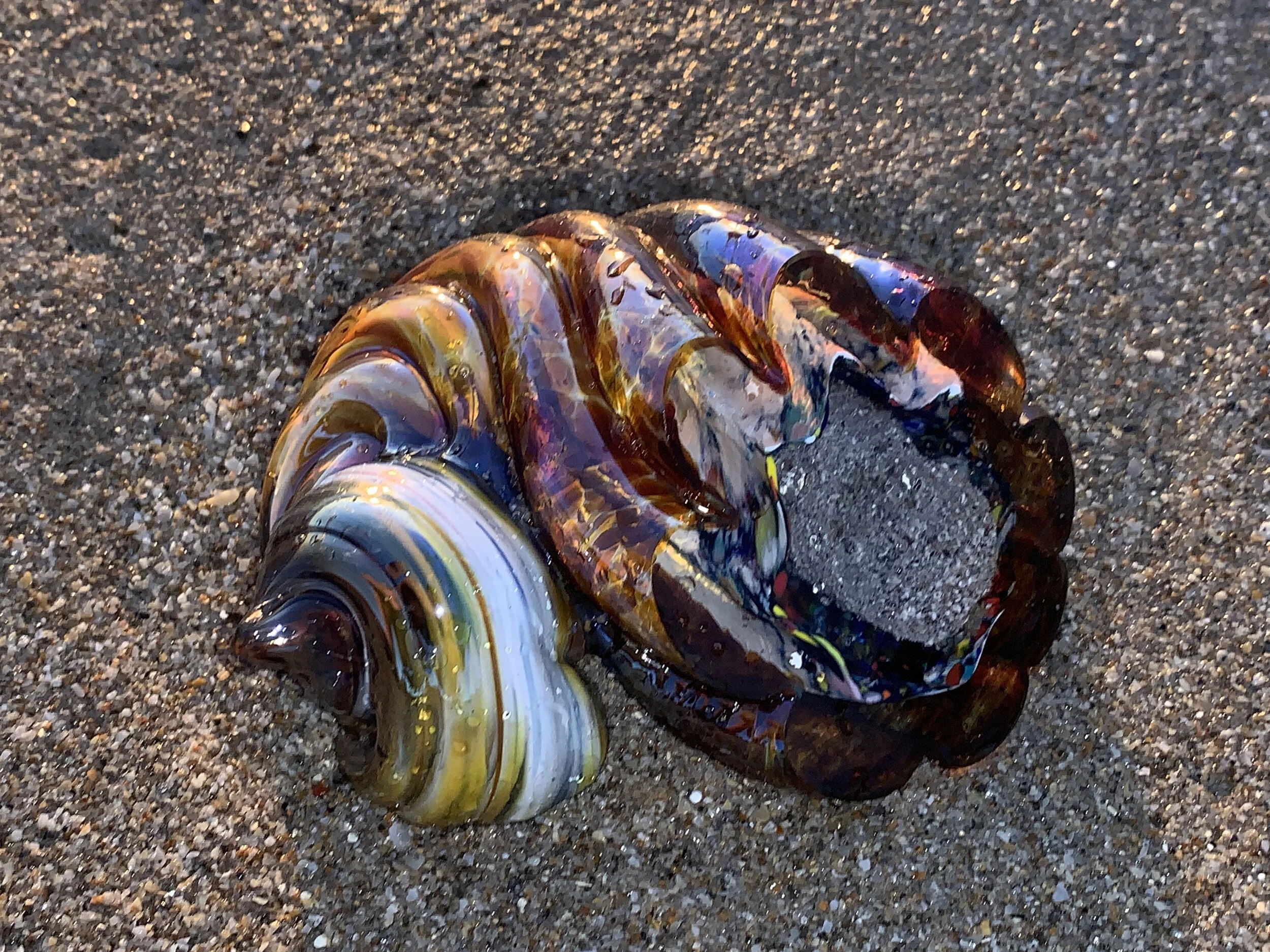 shellsand.jpg