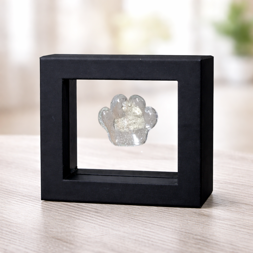 Resin paw print in shadow box (1).png