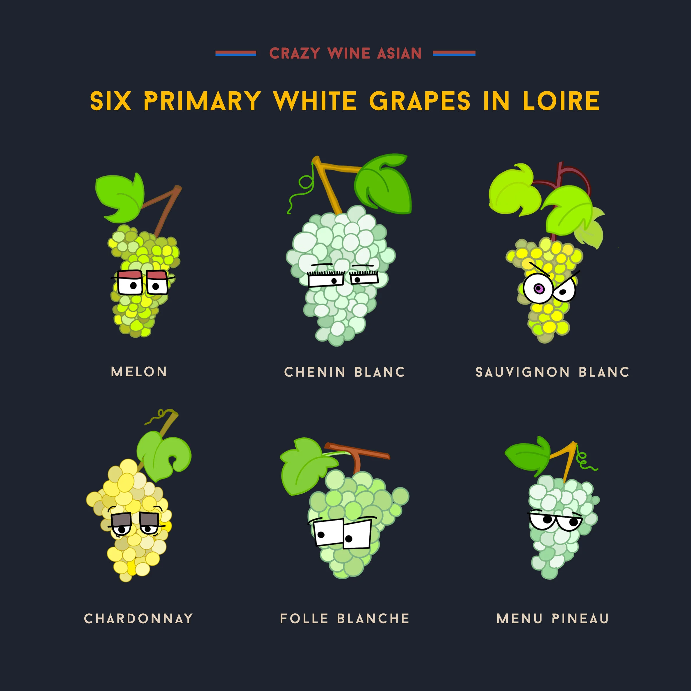 Six primary white grapes in the Loire Valley [infographic] — Crazy Wine