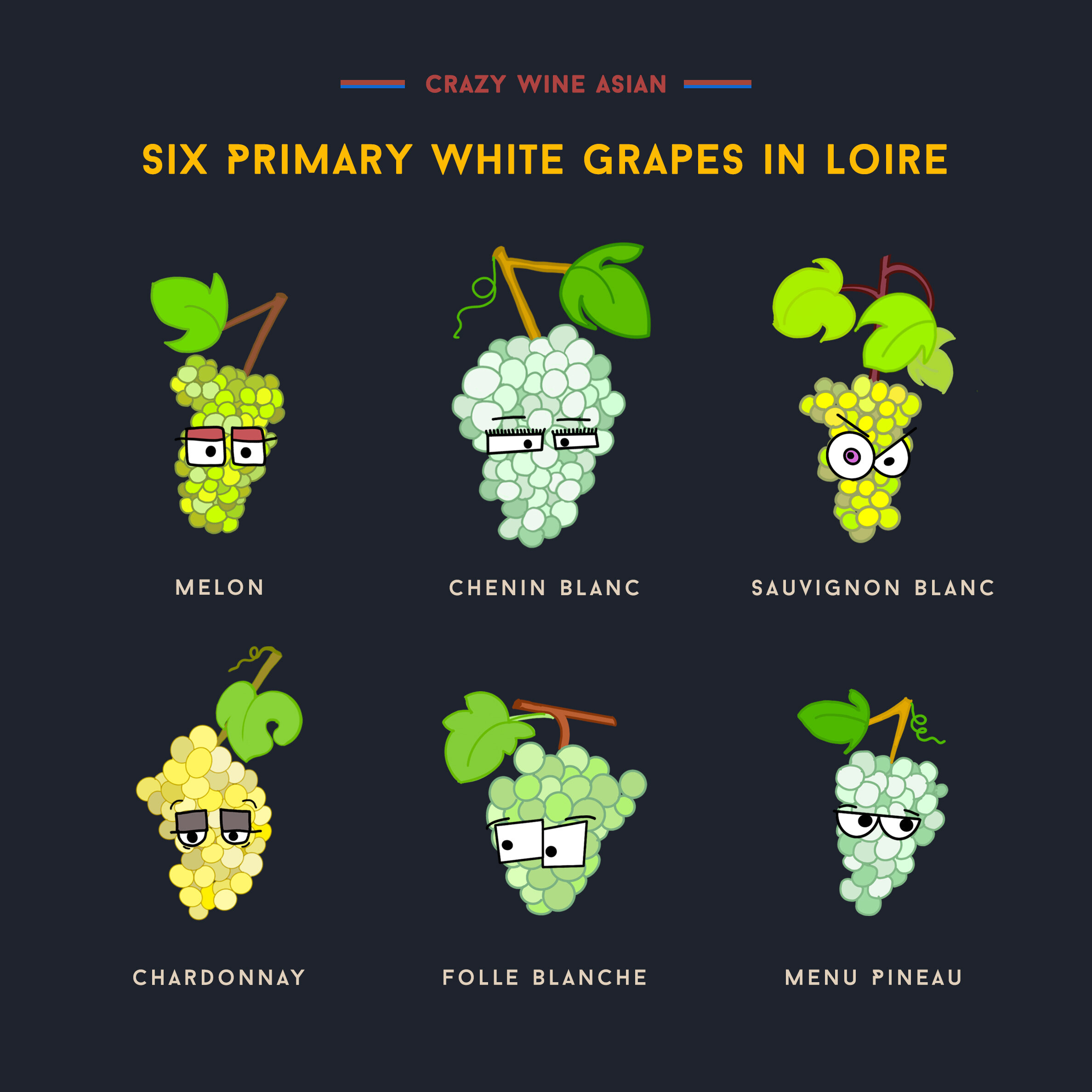 six-primary-white-grapes-in-loire-IG.jpg