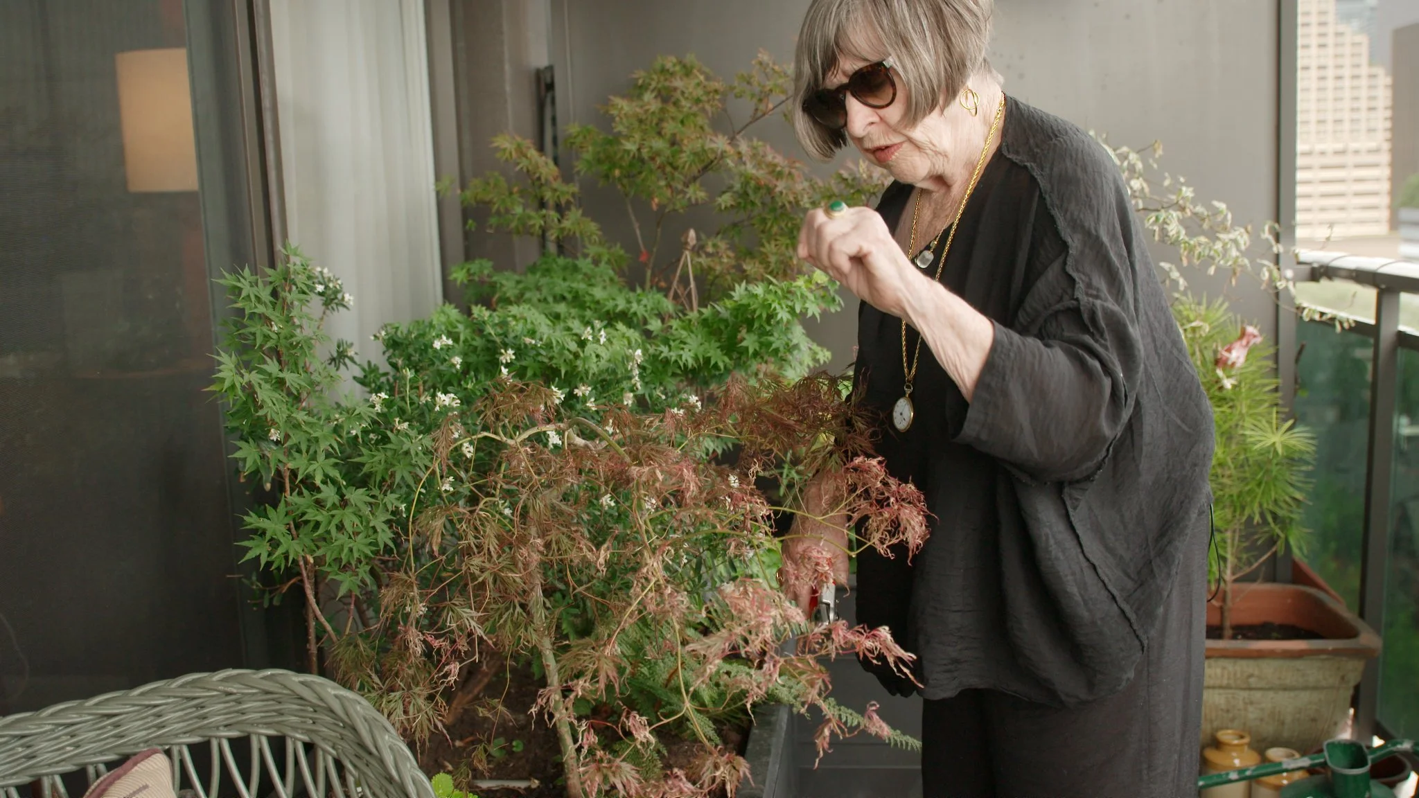 VG 304.1f Marjorie Harris.jpeg