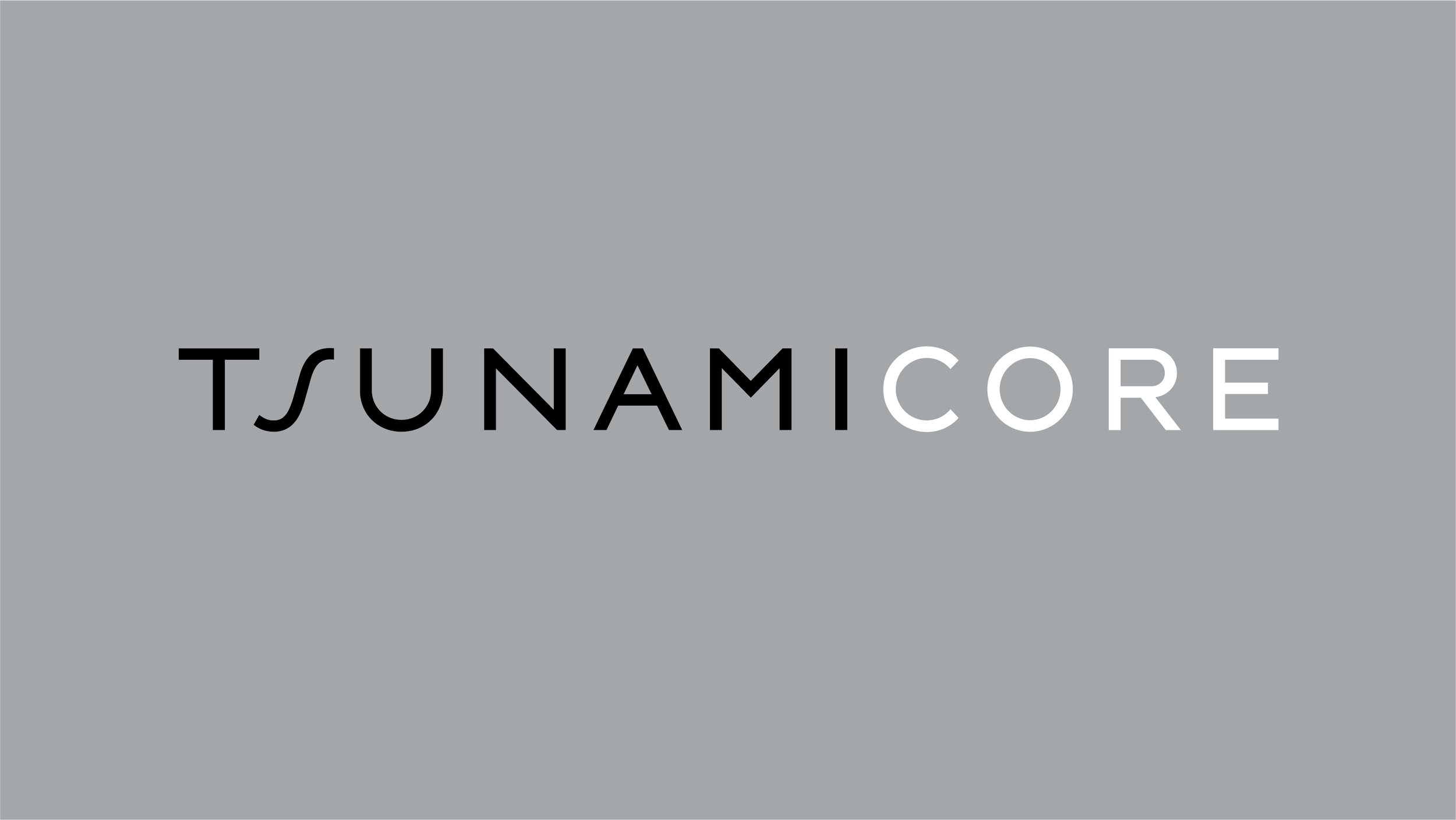 WORDMARK GREY.png