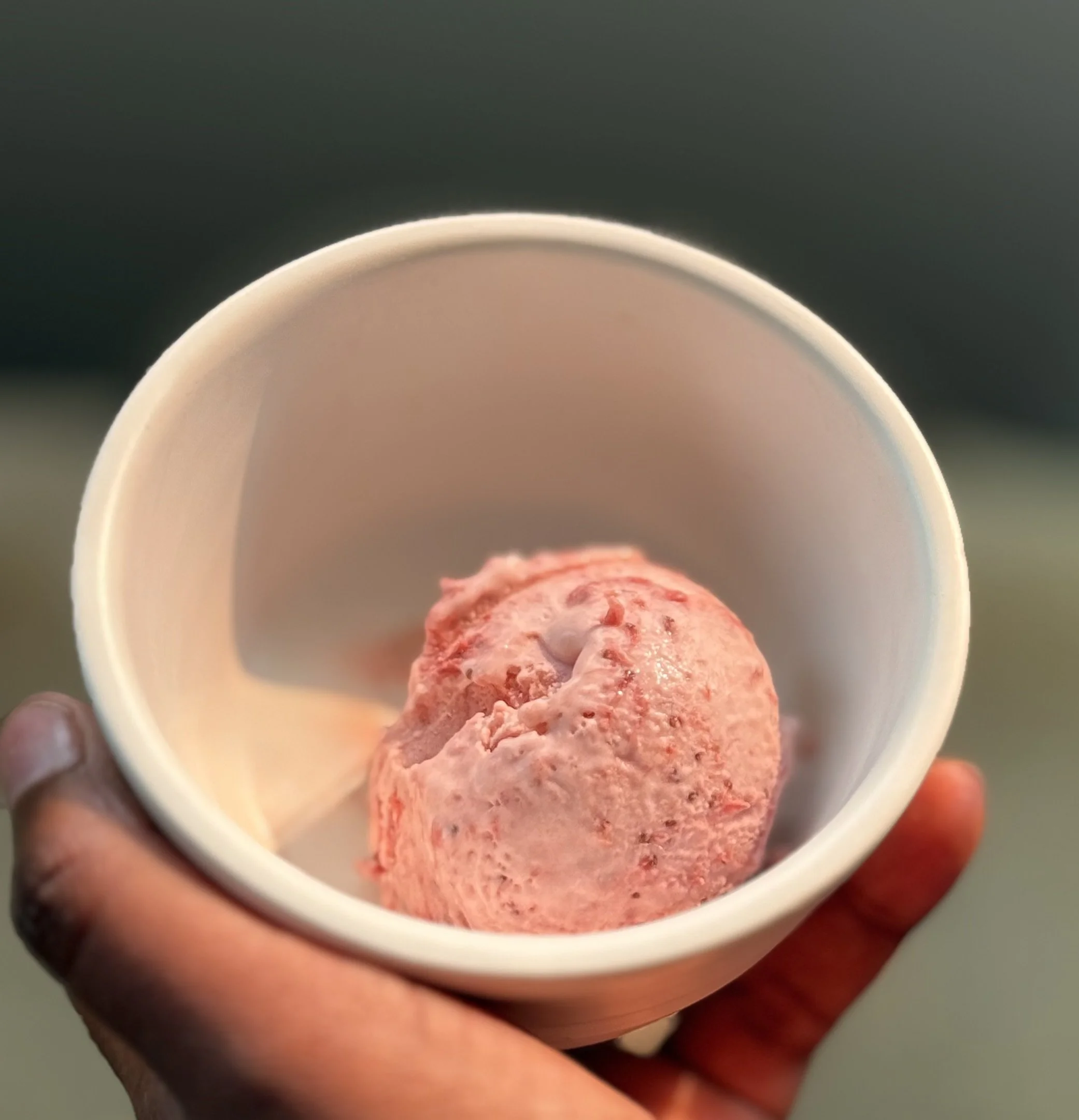 Super Easy 4 Ingredient Strawberry Ice Cream