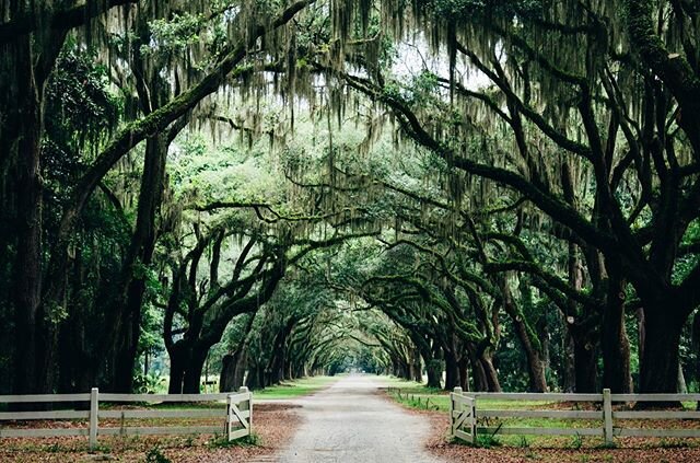 Savannah, Georgia. This southern city is overflowing with history, charm and intrigue. Savannah&rsquo;s iconic moss-covered live oak trees, cobblestone streets, and varied architecture only hint at the stories and legends contained within it. Savanna