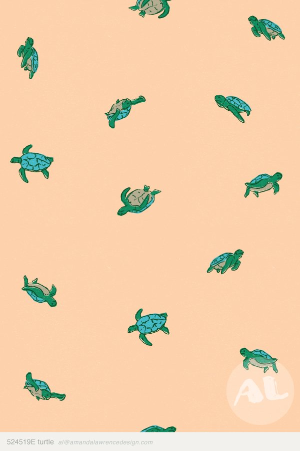 524519E turtle.jpg