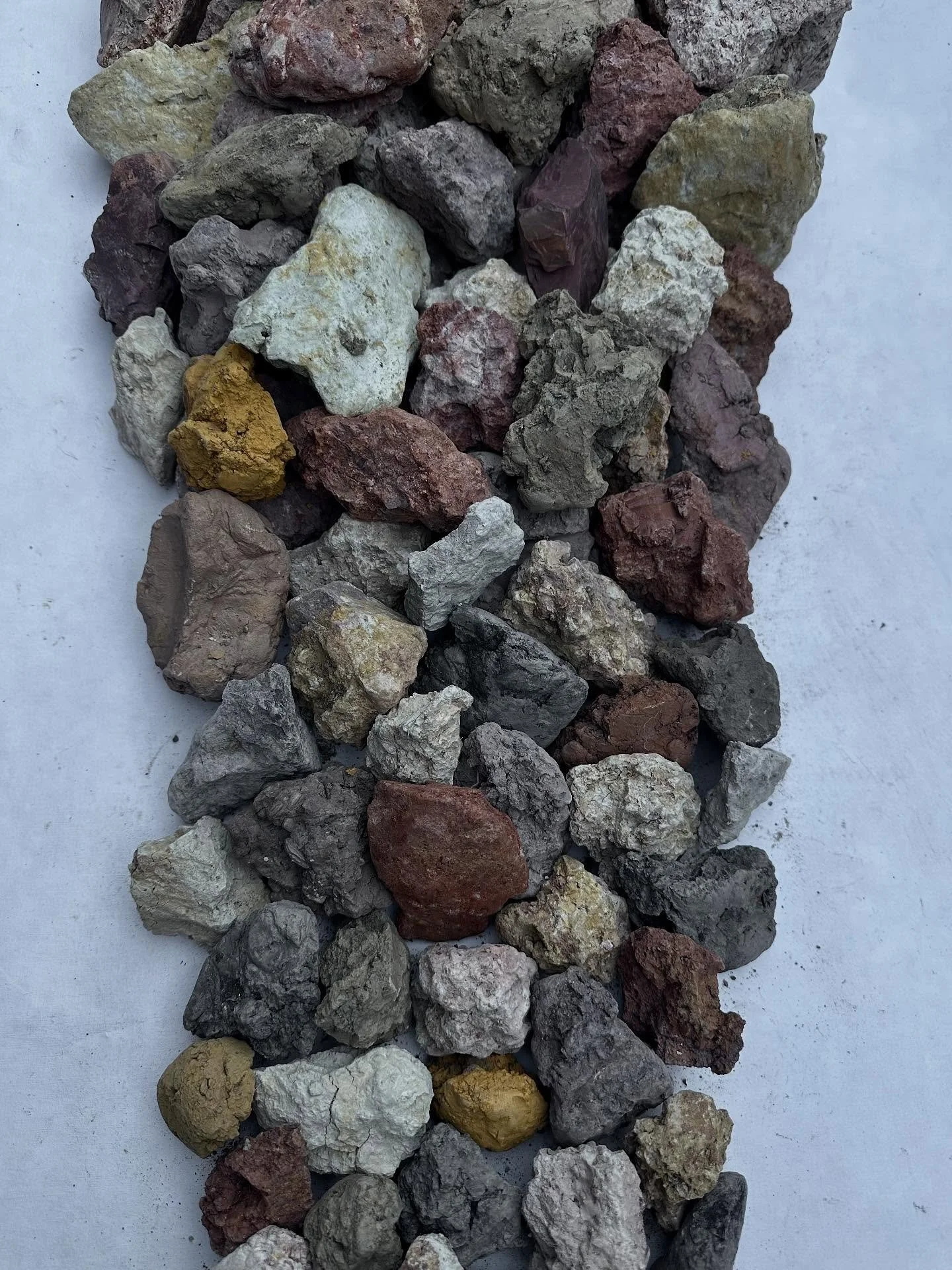 New things emerging by the sea, with the soil, and Pip. 

#soil, #earth #fifecoast #fife #earthart #listeningtoearth #land #makingwithplace #rebearth