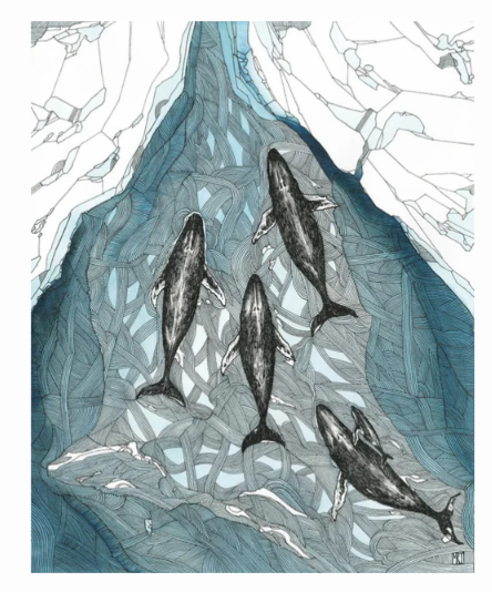 Screenshot 2025-12-13 124057.png