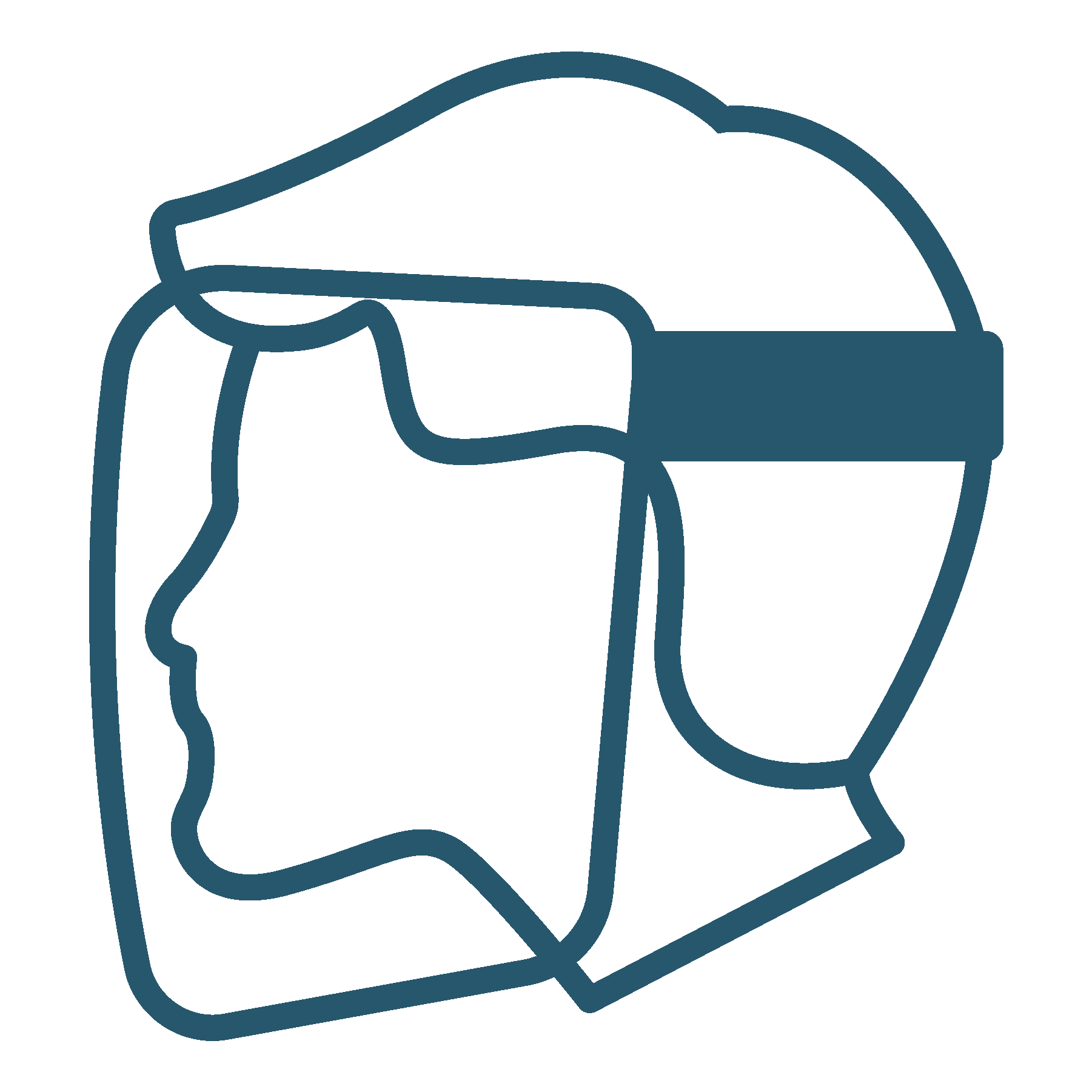 Safety Shield Icon Png Safety Shield Icon Png
