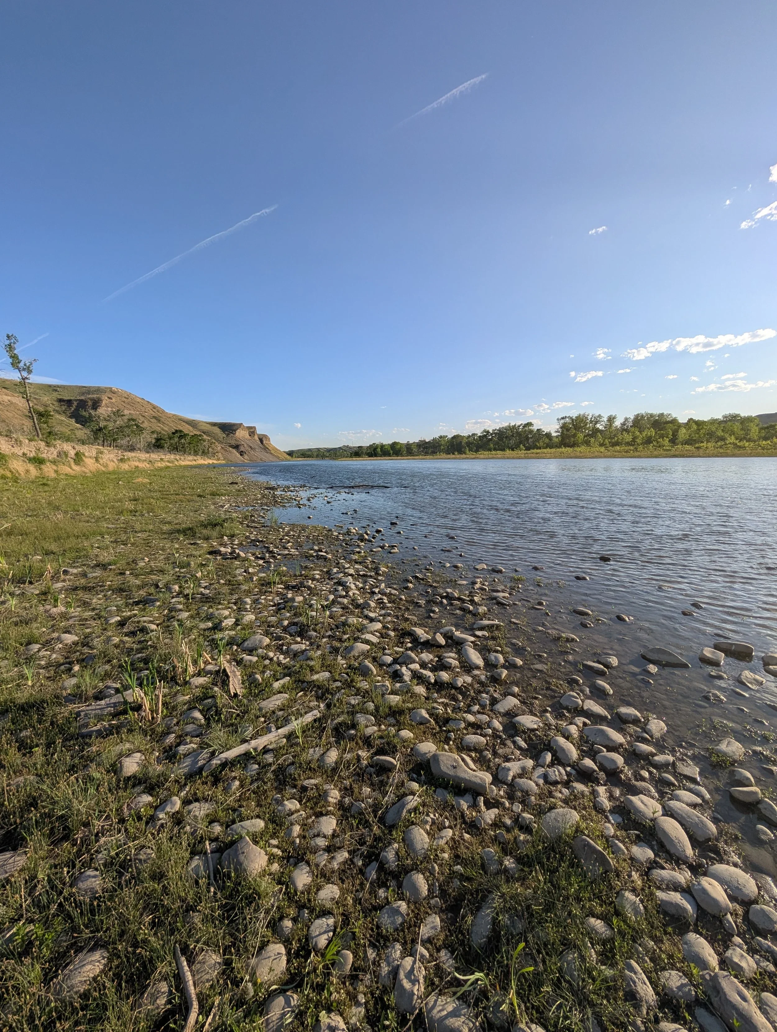 Noticing: Building Observational Capacity by Drawing Native Plants along the Oldman River