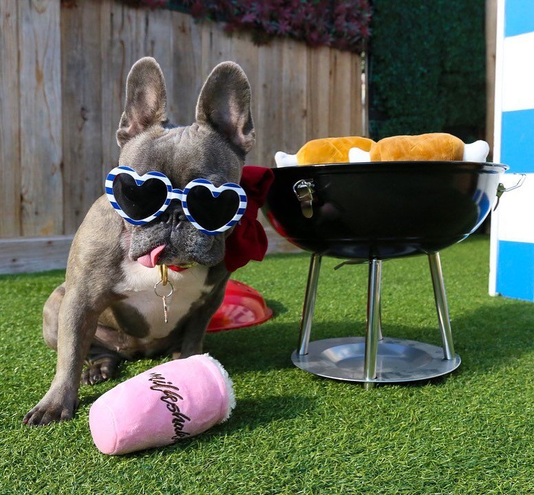 Happy 4th of July everyone!! As you are enjoying time with your friends and loved ones, laying by the pool and BBQ&rsquo;ing - please give your pets some extra TLC! Fireworks can often cause distress in pets, so please keep your pets safe and away fr