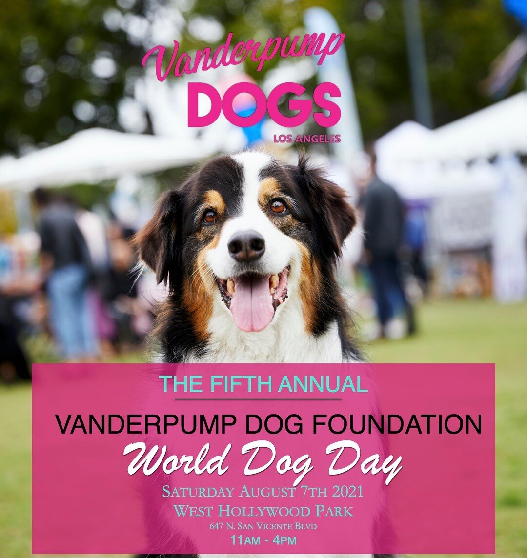 It&rsquo;s OFFICIAL we are thrilled to announce that we will be holding our annual World Dog Day event Saturday, August 7th at West Hollywood Park! 🎉🐾 Please join us for an incredible day outdoors, celebrating and supporting dogs both domestically 