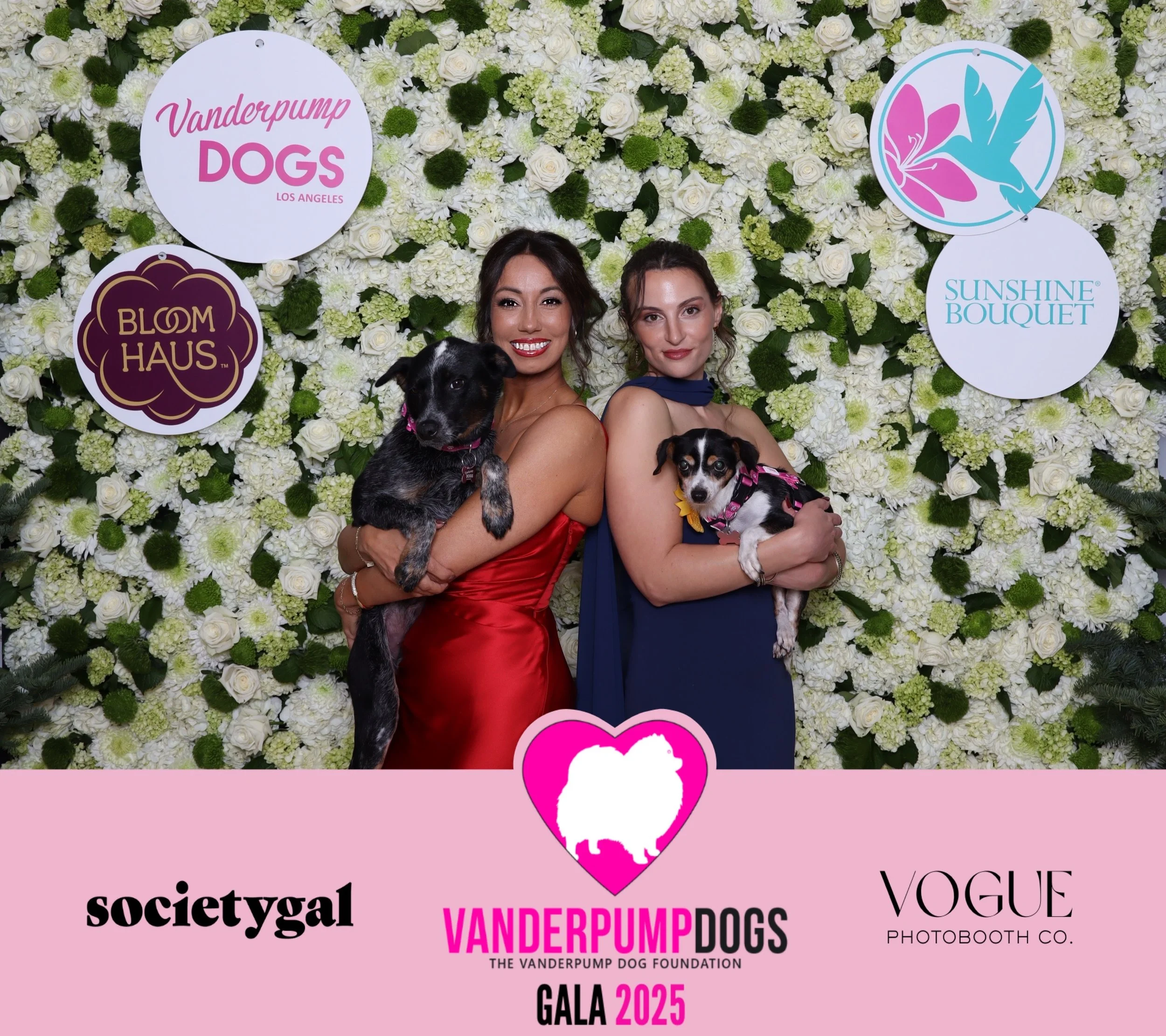 Vanderpump_Dogs_Gala_25_photo_20251211_Time-201272_vjmi5x.jpeg