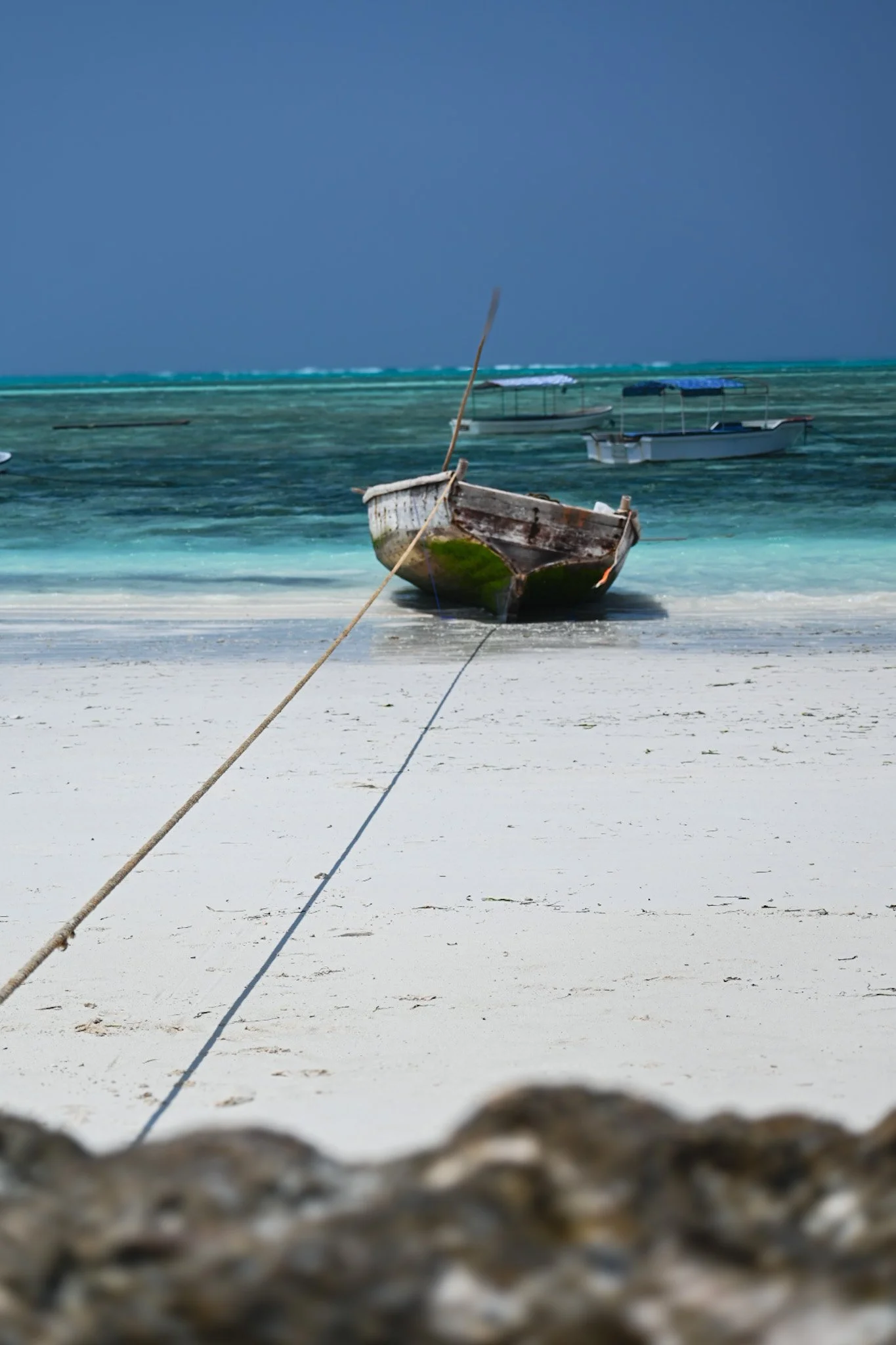 DSC_1069.JPG
