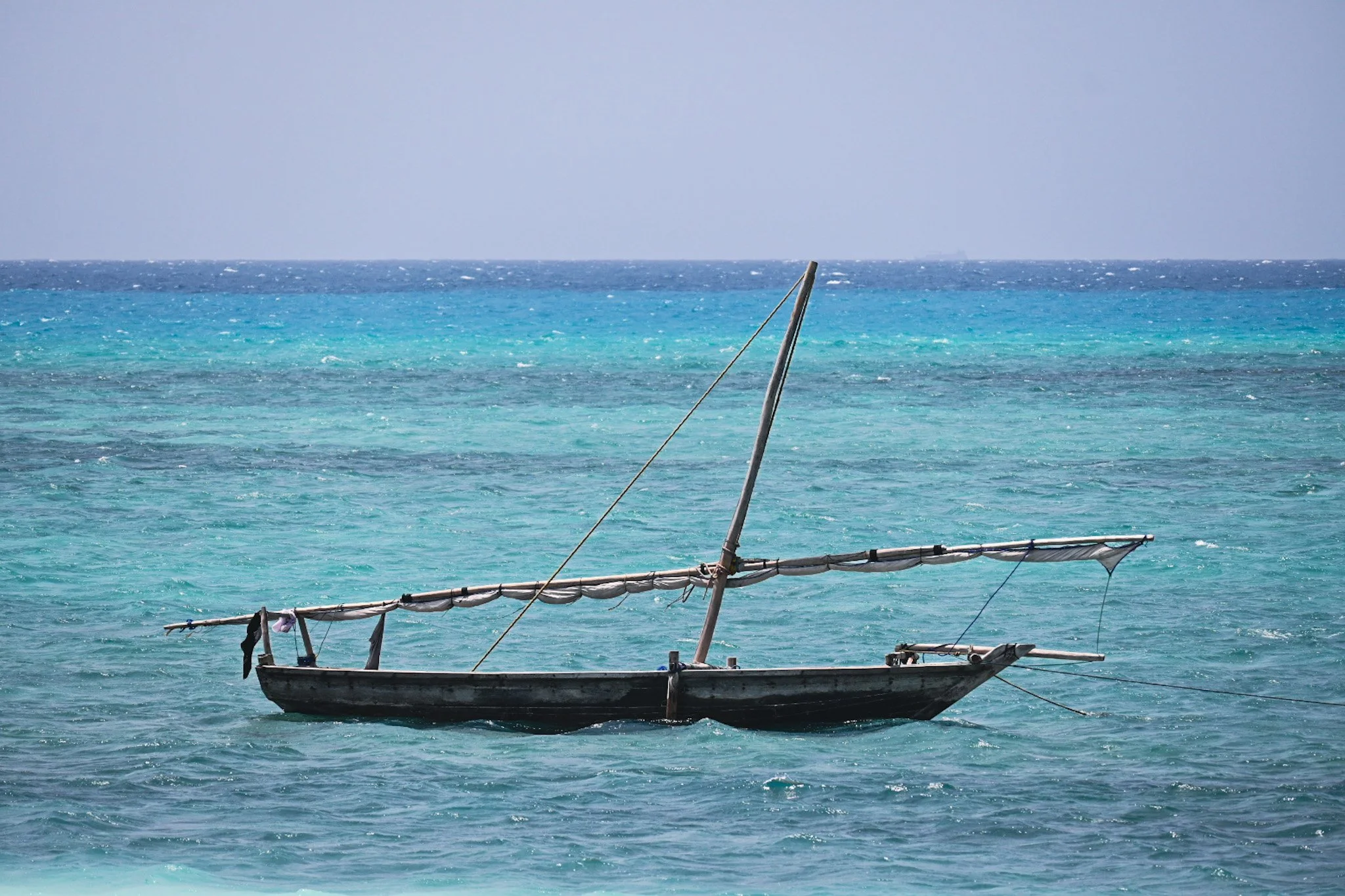 DSC_1081.JPG