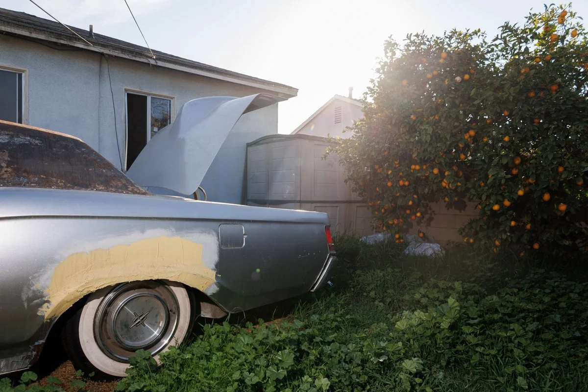 Ordonez_Carmen_Principio o final.jpeg