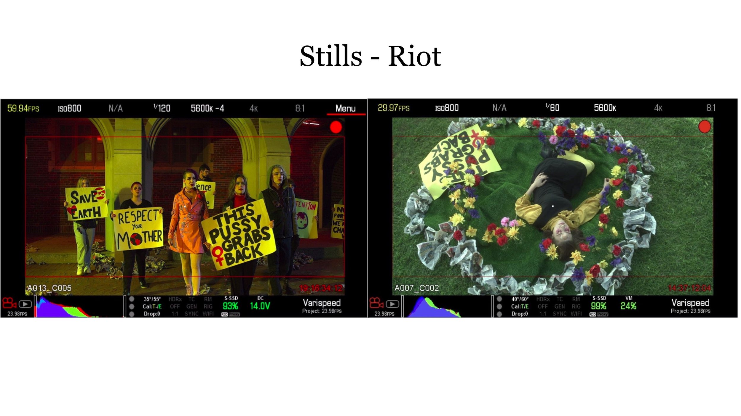 Bullets_Made_of_Wildflowers_Look_book_1-27.jpg