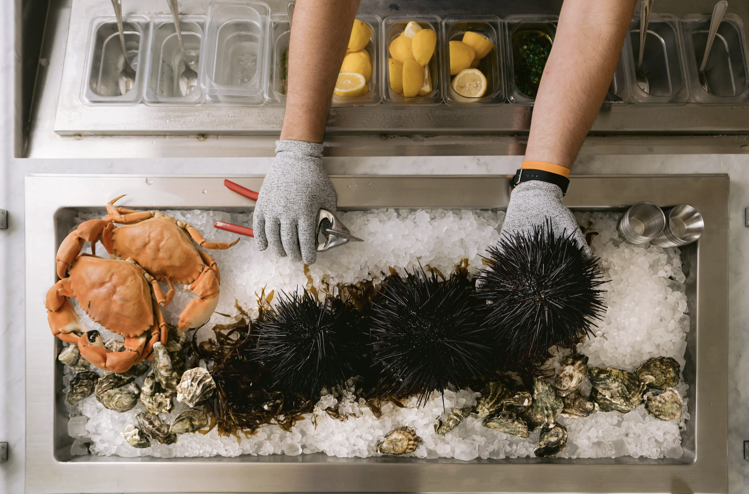 Screenshot 2026-01-16 at 3.13.14 PM.png