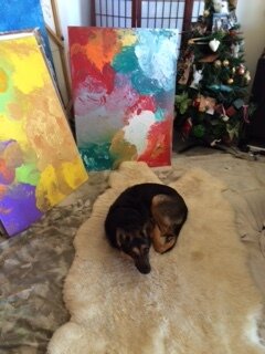 IMG_1324 Lilee curled on fur rug studio copy.jpeg