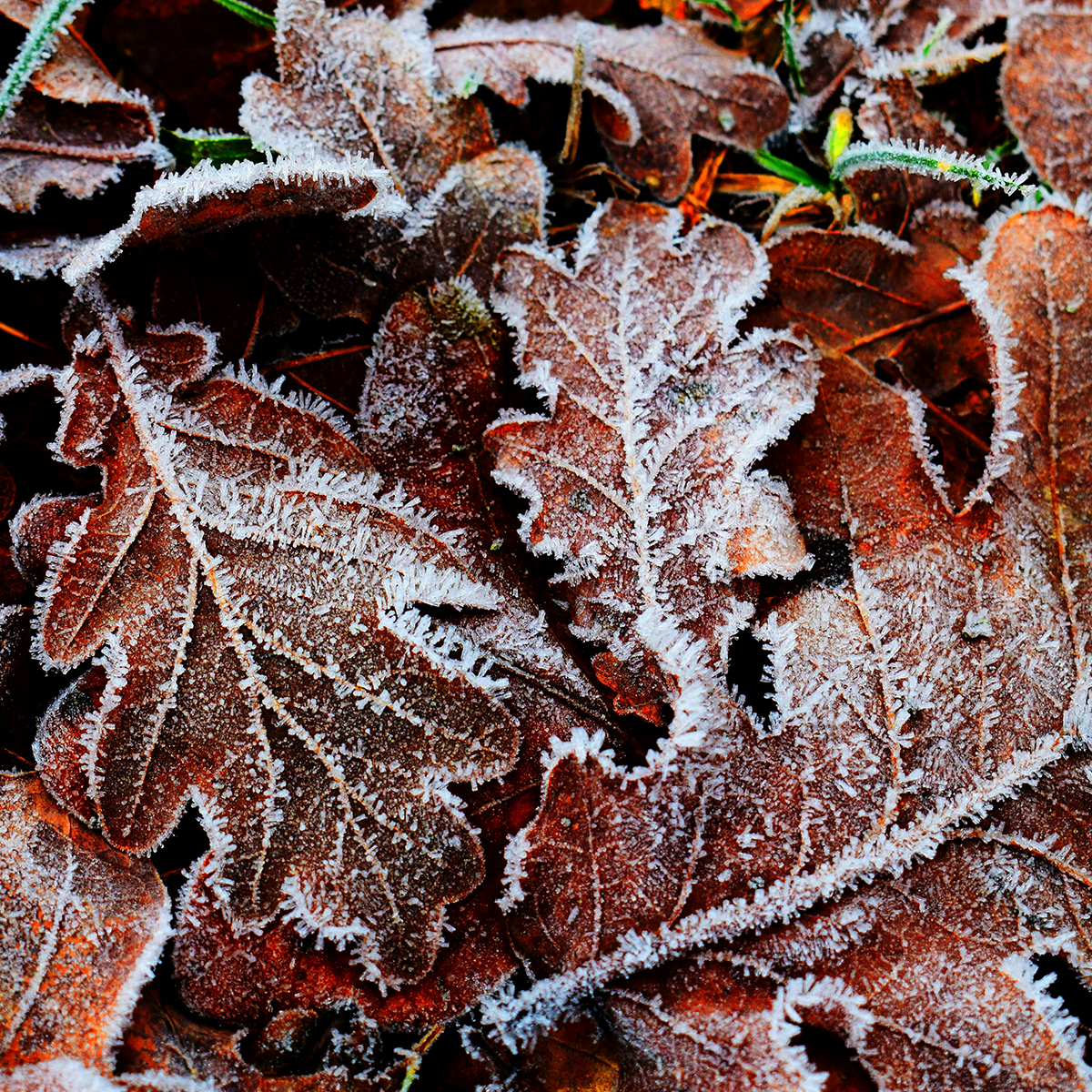 Winter Wellbeing Session with GetOut