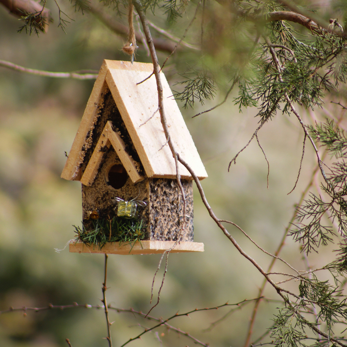 Build A Nest Box with East Lothian Countryside Rangers