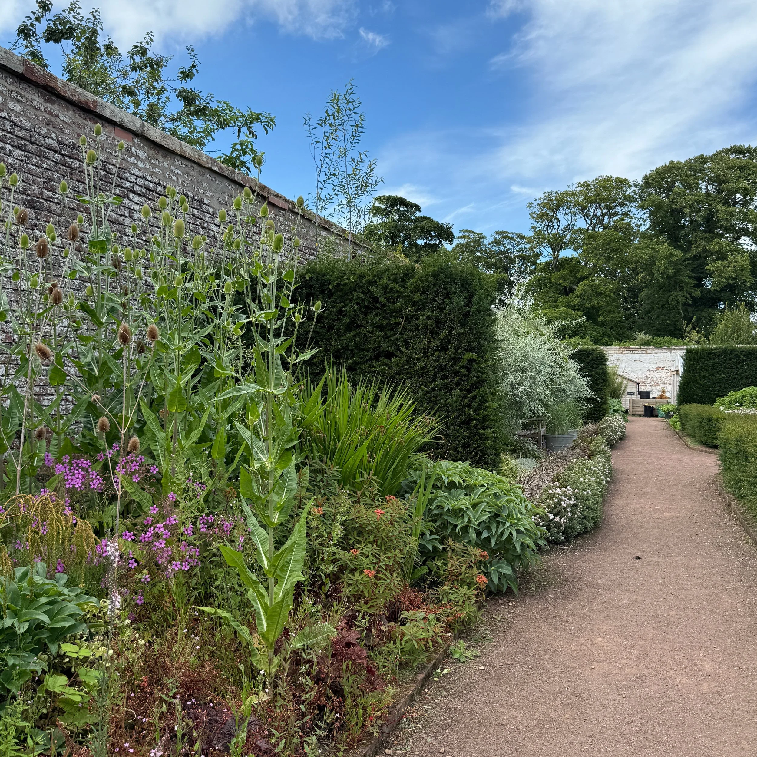 Summer Evening Garden Tour, Archerfield Walled Garden, Dirleton