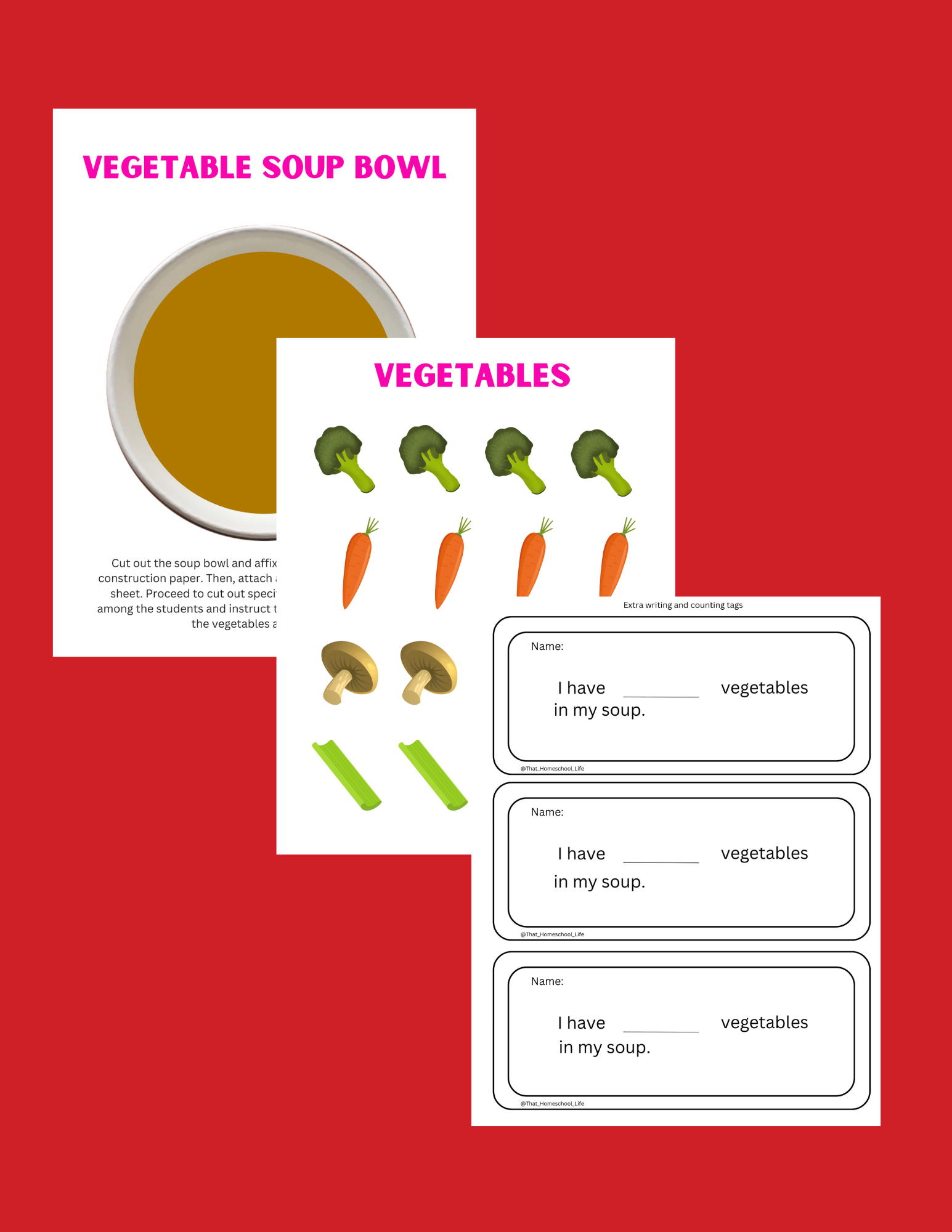 vegetable soup craft.png