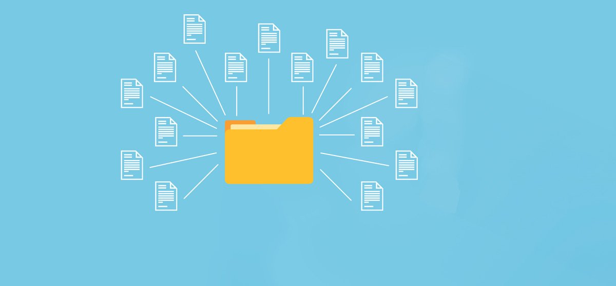 Empower Your Nonprofit Marketing Efforts: How to Build an Effective ...