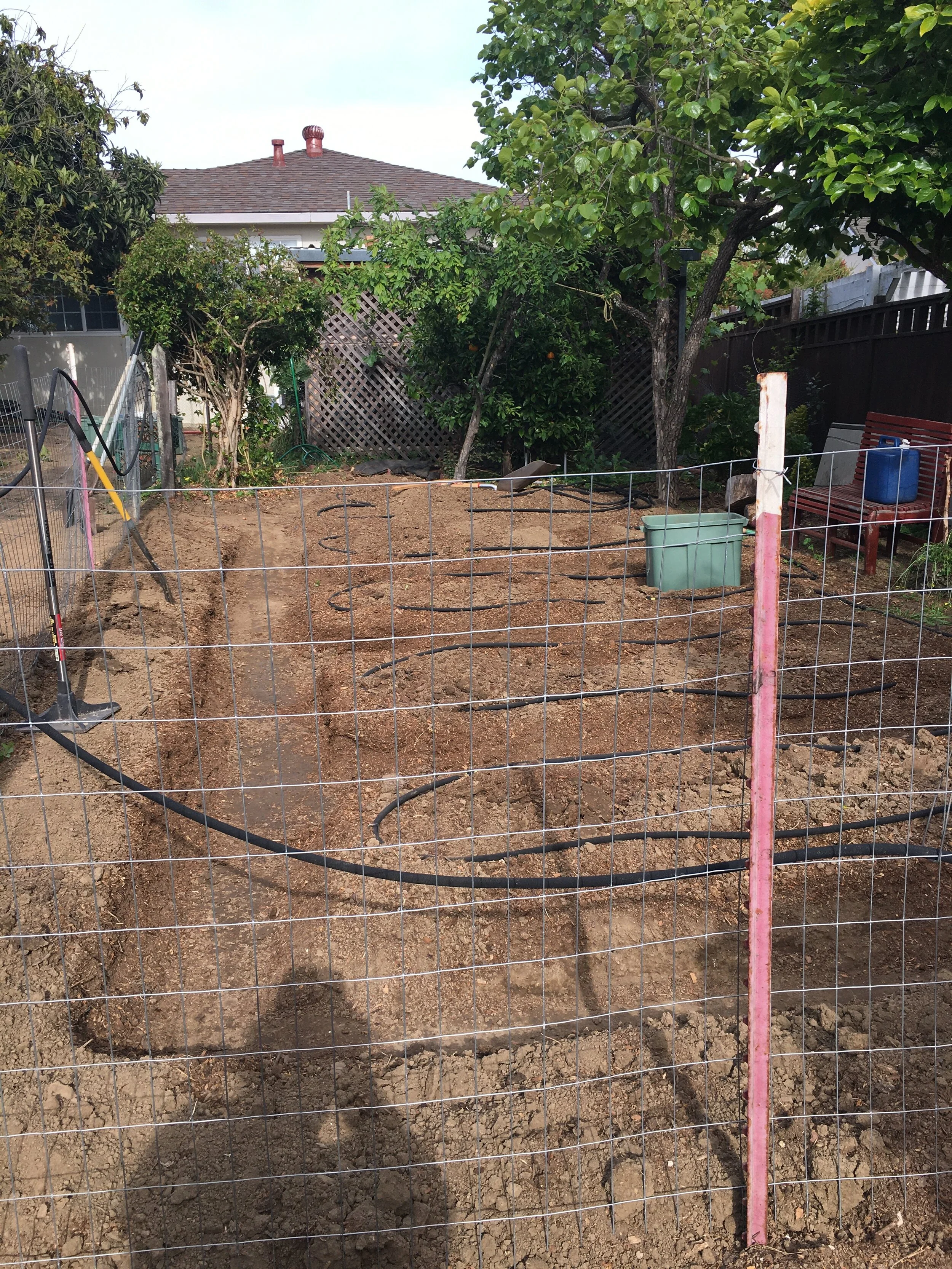 From the bottom of the yard - there's a slope to the plot.