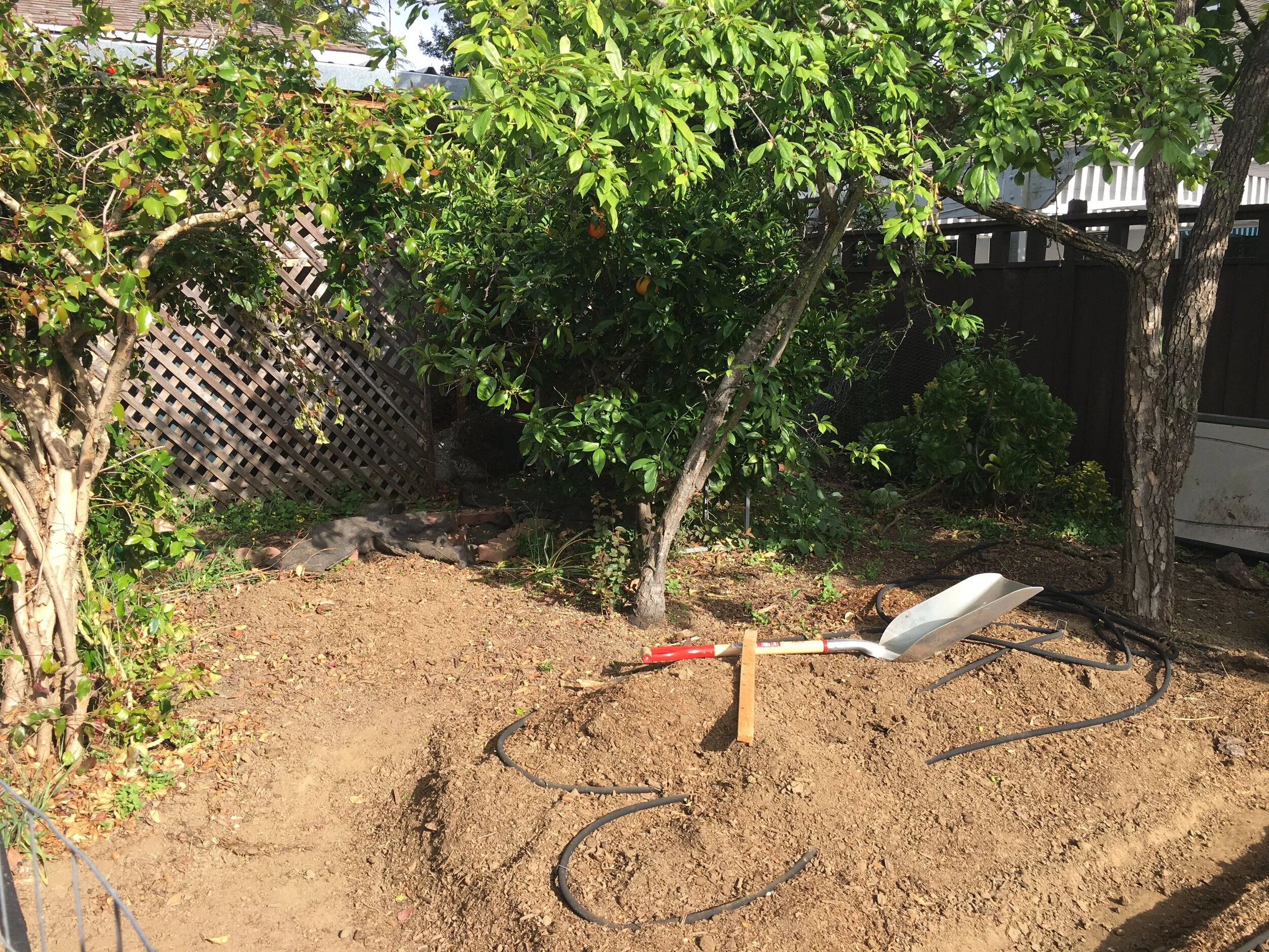I'm going to put in a resting bench by the oranges at the top of the plot..