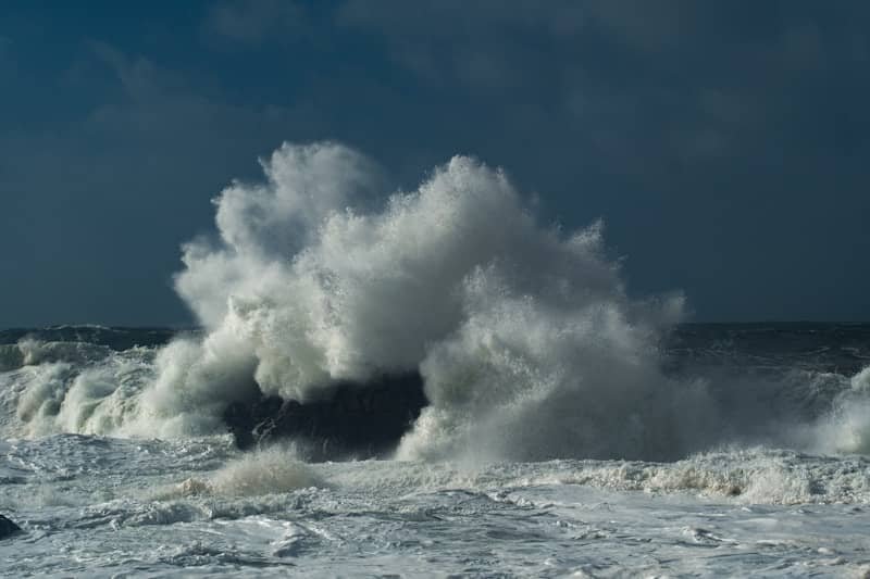 How do you weather the storm?