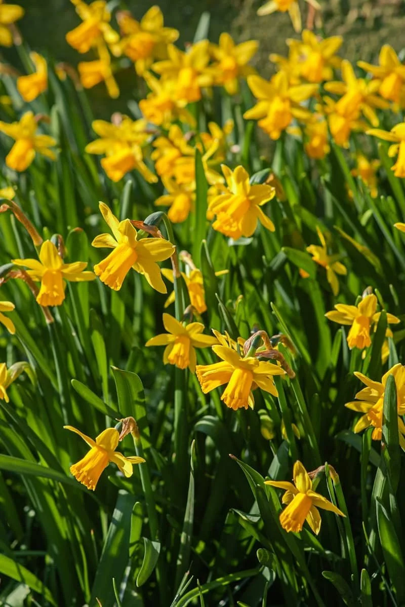 What gets me out of bed each morning