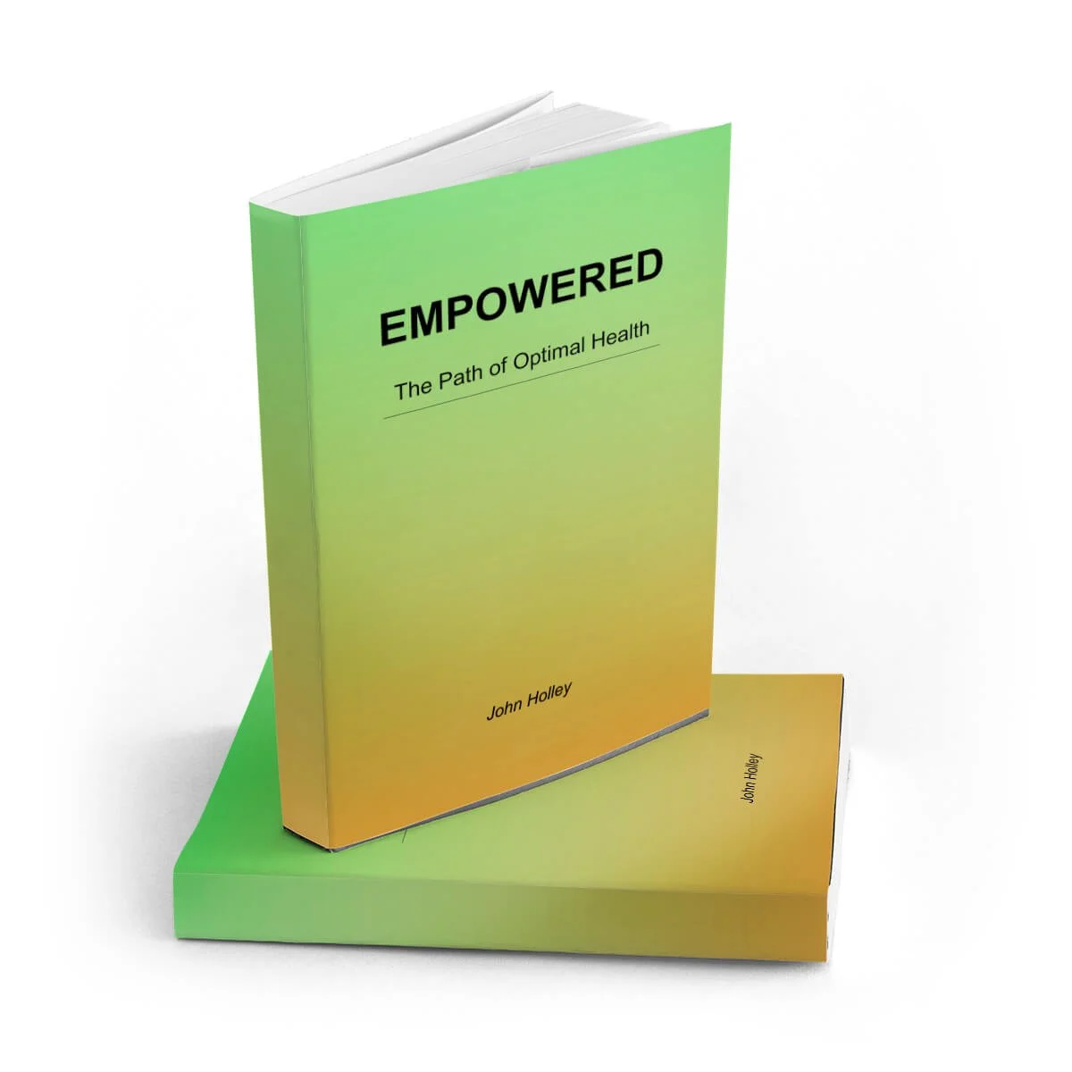 Empowered, book by John Holley