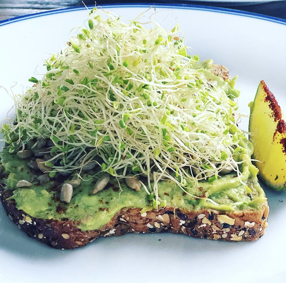 Avocado Toast