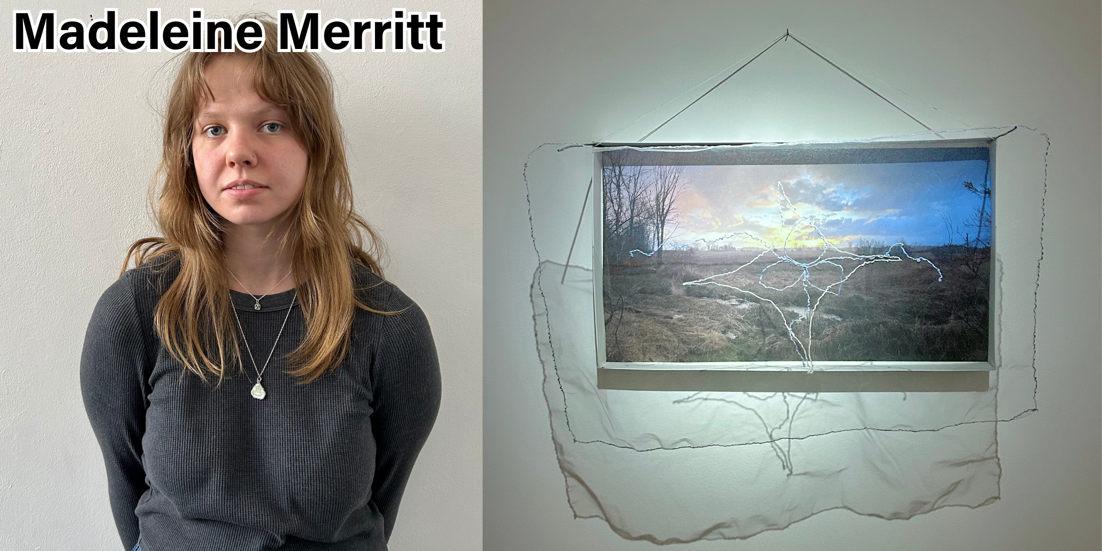 ...."Poison" by Madeleine Merritt. Inkjet print on paper, metal rods, embroidery and gauze, cardboard. 14 x 20" .."Poison" par Madeleine Merritt. Impression à jet d'encre sur papier, tiges métalliques, broderie et gaze, carton. 14 x 20 po....