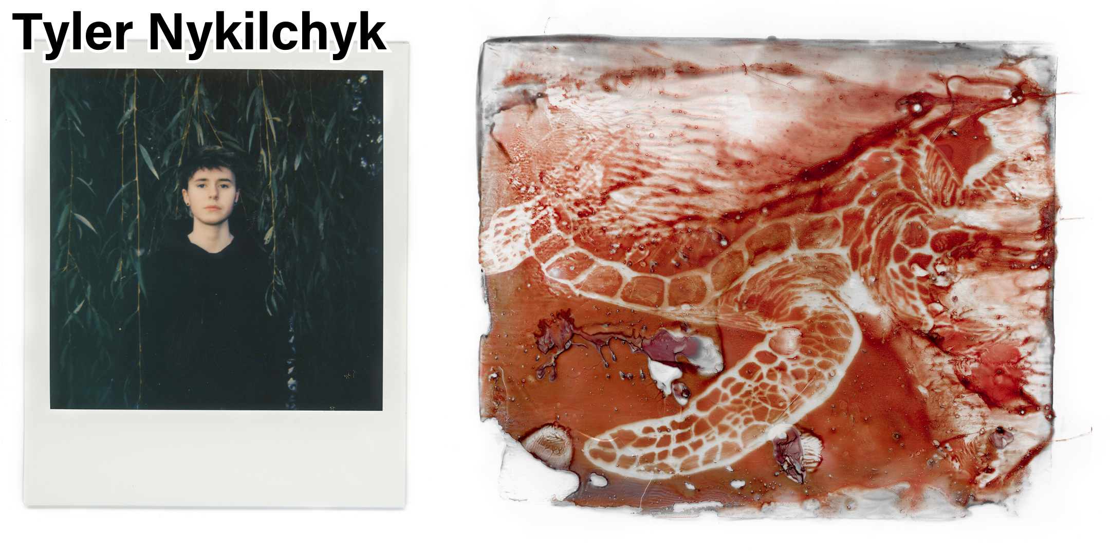 ...."Adrift - Turtle" by Tyler Nykilchyk. Pigment Print on Cotton Rag (Reproduction of a 4 x 5” Solarfast Glass Plate), 11 x 14" .."Adrift - Turtle" par Tyler Nykilchyk. Impression pigmentaire sur chiffon de coton (reproduction d'une plaque de verre 