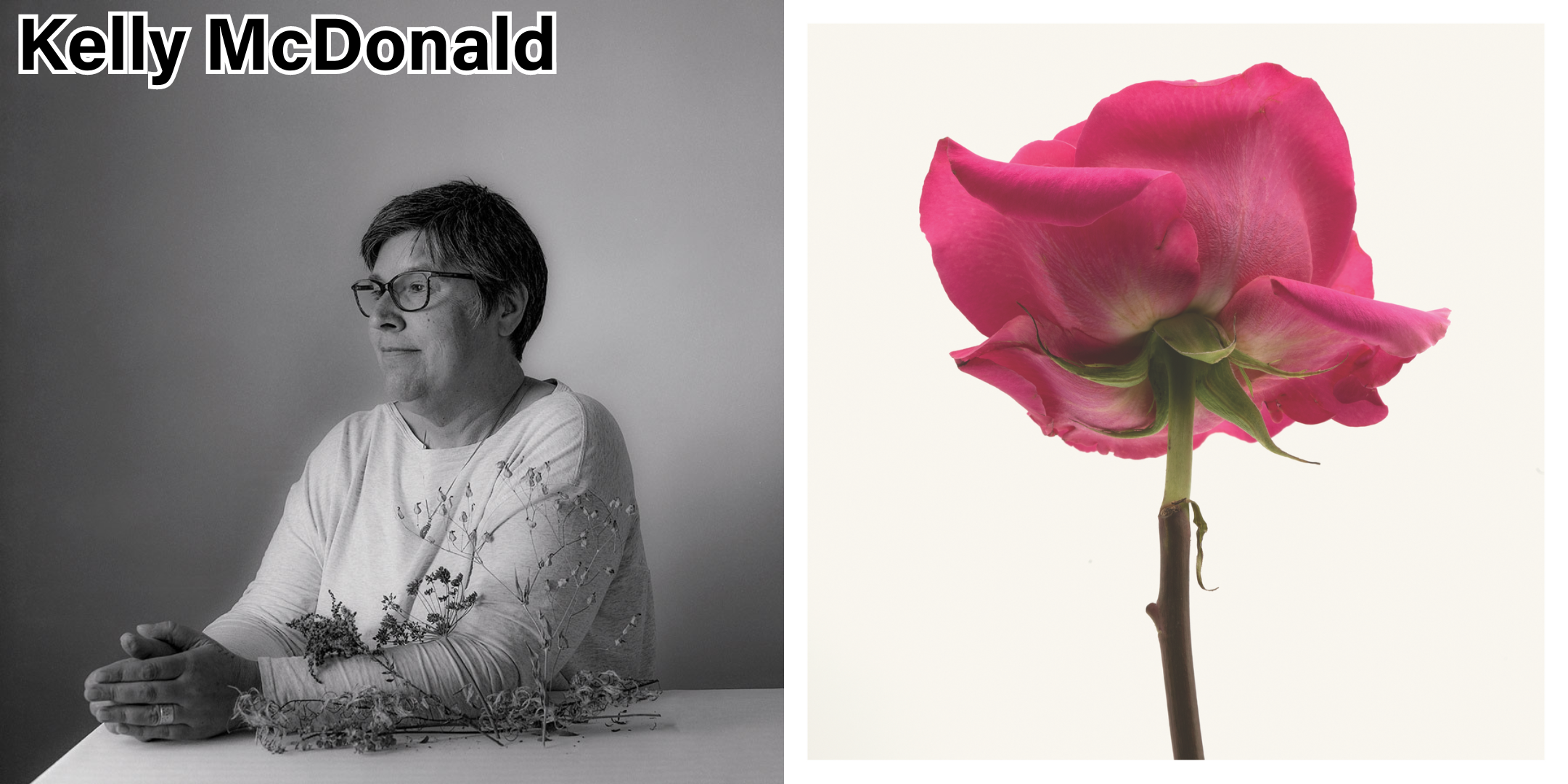 ...."Pink Floyd Rose" by Kelly McDonald. Framed colour photograph, medium format, 17 x 17" .."Pink Floyd Rose" par Kelly McDonald. Photo en couleur encadrée, format médium, 17 x 17 po....