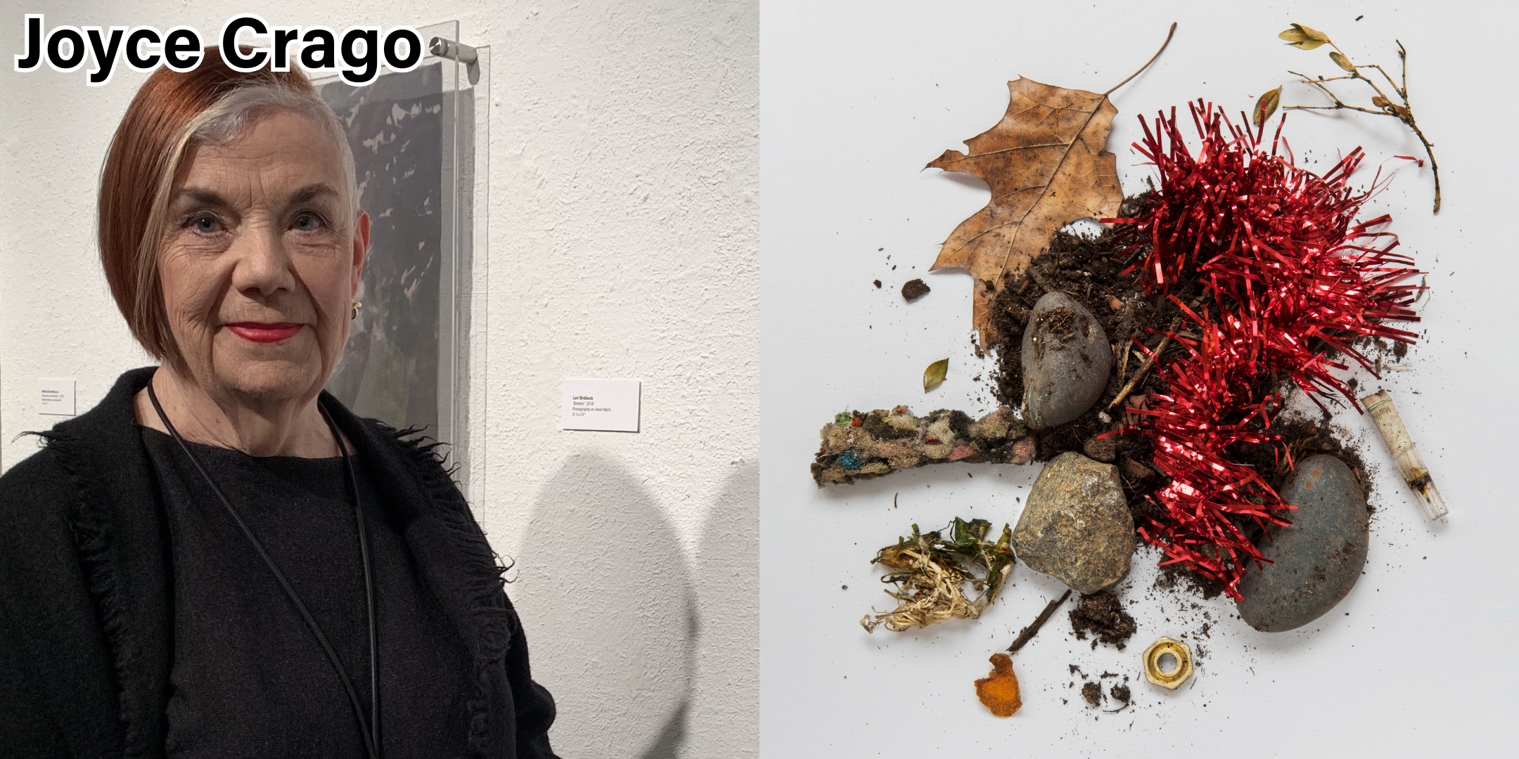 "Flotsam/Red Tinsel" by Joyce Crago. 16 x 20" print.."Flotsam/Red Tinsel" par Joyce Crago. Impression de 16 x 20 po....